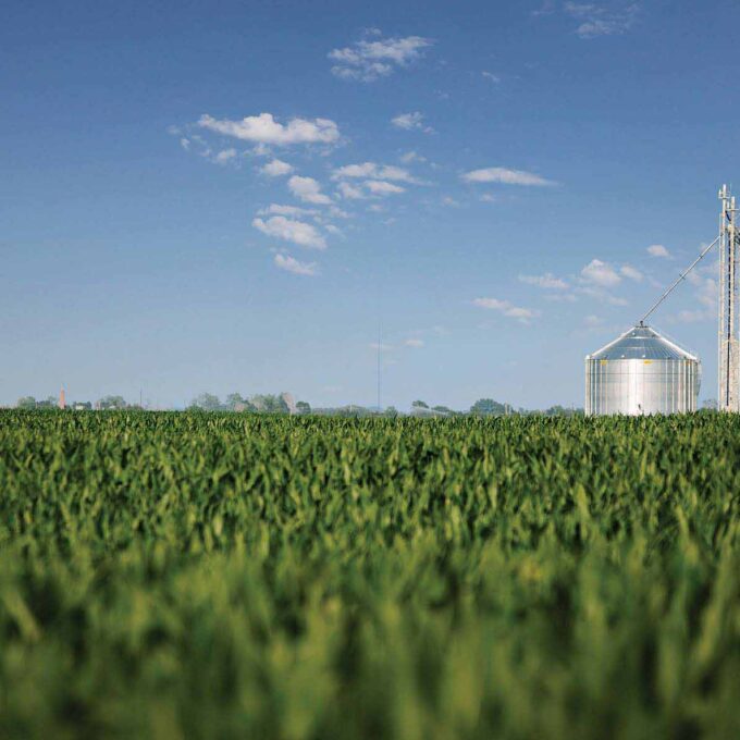 co-29438_blog_header_corn co-29438_blog_header_corn