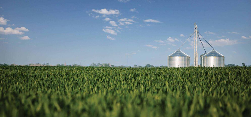 co-29438_blog_header_corn co-29438_blog_header_corn